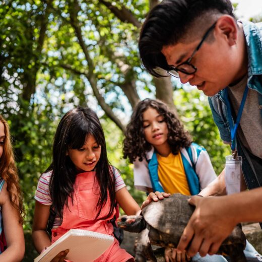 Photo of children in a forest petting a tortoise